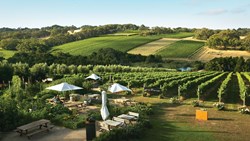 XL Australia Victoria Mornington Peninsula Montalto Winery Vineyards Back Hill