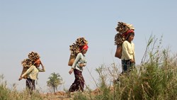 Xl Burma Myanmar Inle Lake Shan State Women Carrying Firewood To Local Market In Nyaung Shwe People