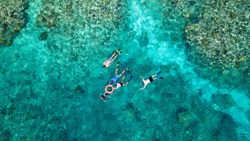 Xl Australia Queensland Great Barrier Reef Aquaquest Snorkling