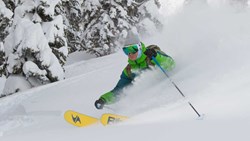 Xl USA Utah Park City Cat Skiing Powder Snow