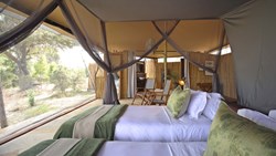 Xl Tanzania Camp Roho Ya Selous Tent Twin Beds