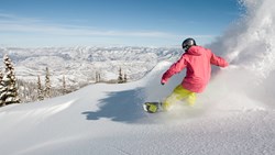 Xl USA Colorado Aspen Snowmass Snowboarder Powder Snow