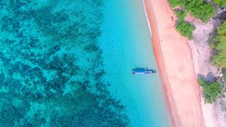 Xl Indonesia Komodo Pink Beach (1)