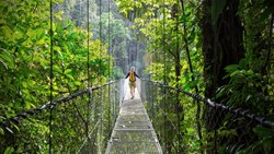 Costa Rica Jungle Brigde Man